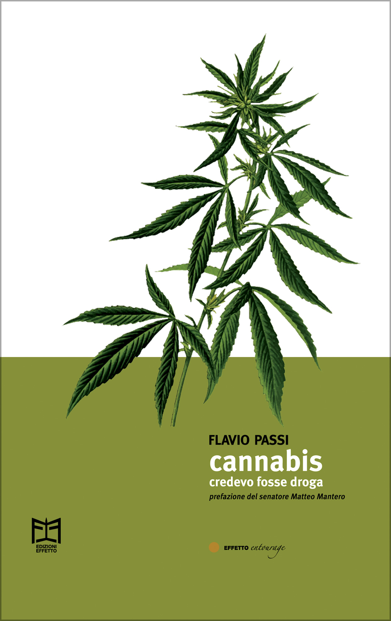 CANNABIS CREDEVO FOSSE DROGA